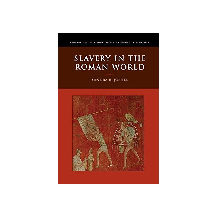 Slavery in the Roman World (Cambridge Introduction to Roman Civilization)